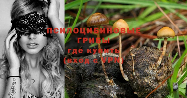 меф Заводоуковск