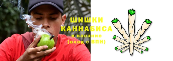 мдпв Заволжье