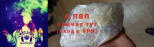 стаф Заволжск