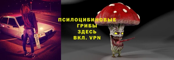 мдпв Заволжье