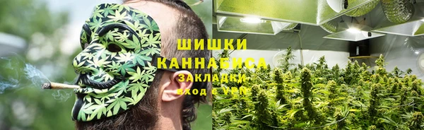 меф Заводоуковск