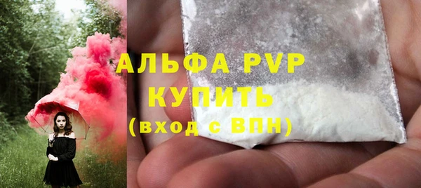 гидра Надым