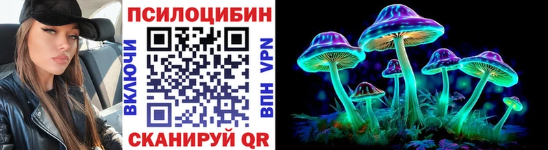 как найти   Солнечногорск  Псилоцибиновые грибы прущие грибы 