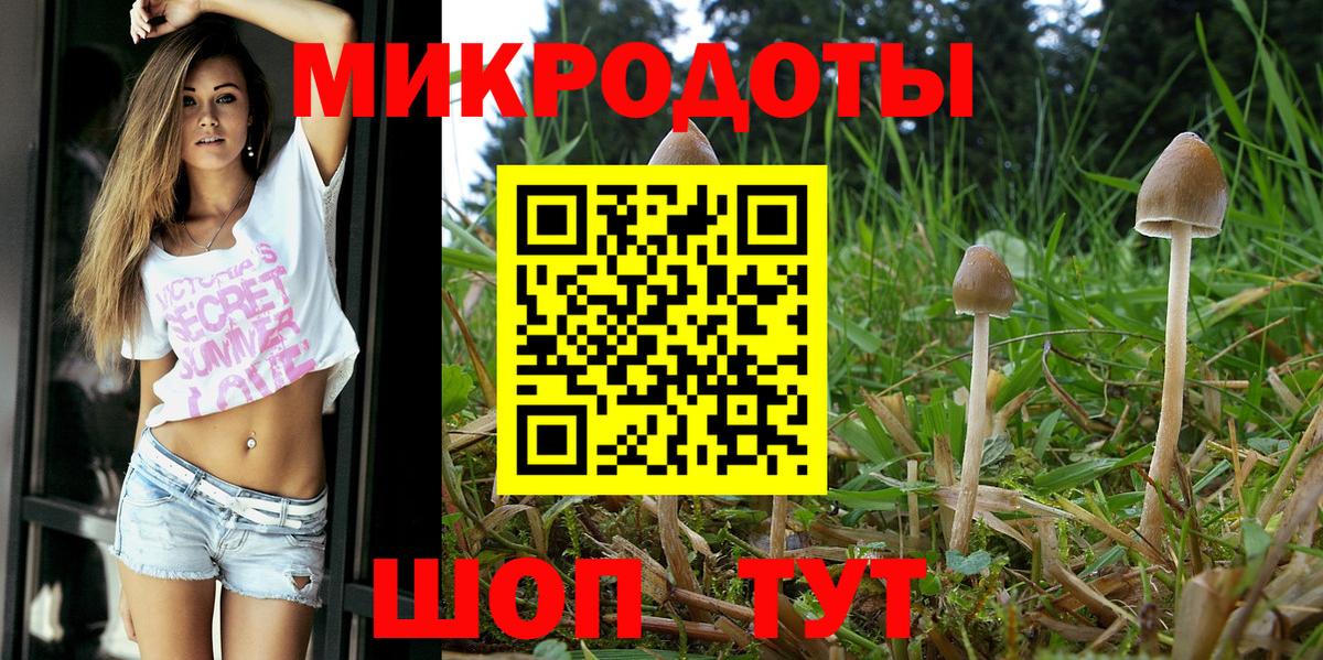 Псилоцибиновые грибы мухоморы Солнечногорск