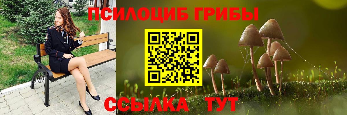 Галлюциногенные грибы мухоморы  Галлюциногенные грибы Cubensis  Вход с VPN  Солнечногорск 